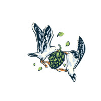 Cape May Brewing Company Double Dry-Hopped Follow the Gull