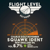 Flight Level Brewing Squawk Ident #2 Charlie Golf November