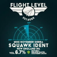 Flight Level Brewing Squawk Ident #3 Mike November Sierra