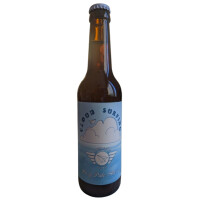Flight Level Brewing Cloud Surfing