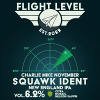 Flight Level Brewing Squawk Ident #1 Charlie Mike November
