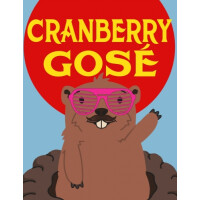 Sawtooth Brewery Cranberry Gose