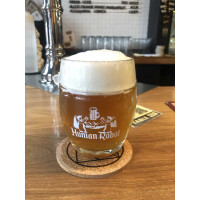 Human Robot Crown Lands