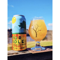 Big Axe Brewery Pure Soleil Cider