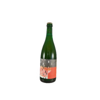 Donder bv Ziggy Sitar Dust Raga