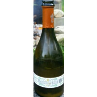 OEC Brewing (Ordinem Ecentrici Coctores) Spontalis Novus