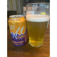 Flying Fish Brewing Company Daylight Savings IPA