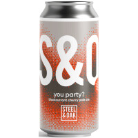 Steel & Oak Brewing You Party?