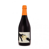 CoolHead Brew Broken Branch Wine BA Cider