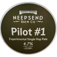 Neepsend Brew Co. Pilot #1