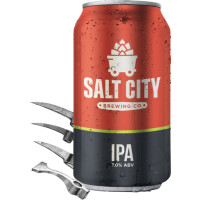 Salt City Brewing Company IPA