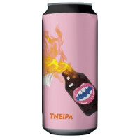 Panimo Himo Sytytys: TNEIPA