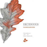 Trillium Brewing Company Deciduous Dunkelweizen (2024-2025)
