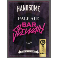 Handsome Brewery Bar Steward