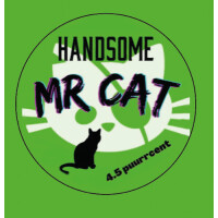 Handsome Brewery Mr Cat