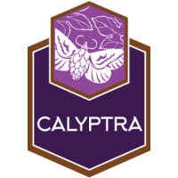 Jack's Abby Craft Lagers Calyptra - Double Dry Hopped