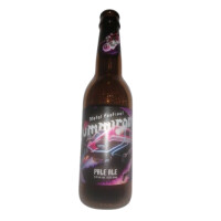 Hiisi Nummirock Pale Ale (2022)