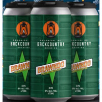 Backcountry Brewing Brawndo: The Thirst Mutilator⁠