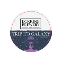 Dorking Brewery Trip To Galaxy
