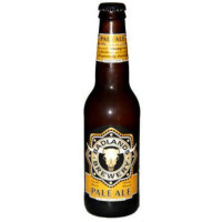Badlands Brewery Pale Ale