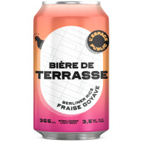 L'Espace Public - Brasseurs de Quartier Bière De Terrasse - Fraise/Goyave