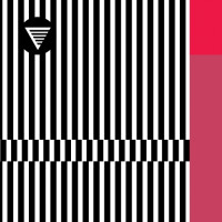 HOMES Brewery Throughline Raspberry