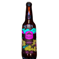 Cervecería Cholula Lager Casual