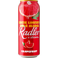 Efes Vitanta Moldova Brewery Radler Grapefruit