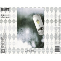 Evil Twin Brewing Even More Foggier Window