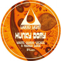 Liquid Light Brewing Company Hunky Dory