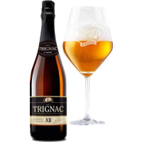 Brouwerij Vanhonsebrouck Trignac XII (2022)