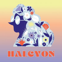Tonewood Brewing Halcyon