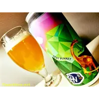 Double Nickel Brewing Vert Planet