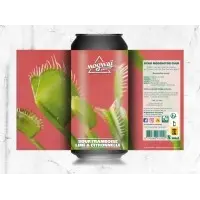 Mogwaï Beer Co. Dead Mosquitos Club