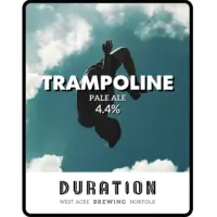 Duration Brewing Trampoline