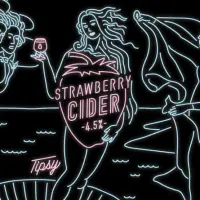 Taihu Brewing 臺虎精釀 Strawberry Cider