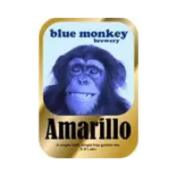 Blue Monkey Brewery Amarillo