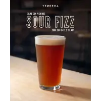 Teorema Cervecería Sour Fizz
