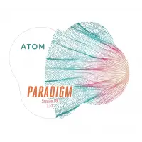 Atom Beers Paradigm