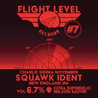 Flight Level Brewing Squawk Ident #7 Charlie Sierra November