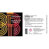 Cerveceria Paracaidista Belgian For The Beach (8%)