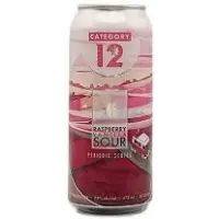 Category 12 Brewing Raspberry Vanilla Sour