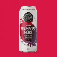 MonsRegius - Bières Artisanales MonsRegius Acidula Framboise Mûre