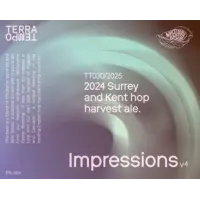 Terra Tempo Brewing Impressions v4