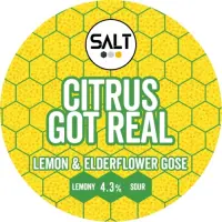 Salt Beer Factory Citrus Got Real