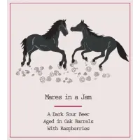 Small Pony Barrel Works Mares in a Jam