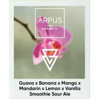 Ārpus Brewing Co. Guava x Banana x Mango x Mandarin x Lemon x Vanilla Smoothie Sour Ale