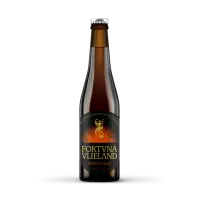 Brouwerij Fortuna Vlieland Storm Stout (2025 -)