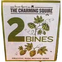The Charming Squire 2 Bines