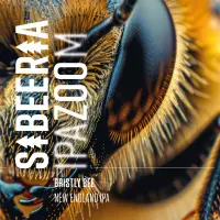 Sibeeria Bristly Bee